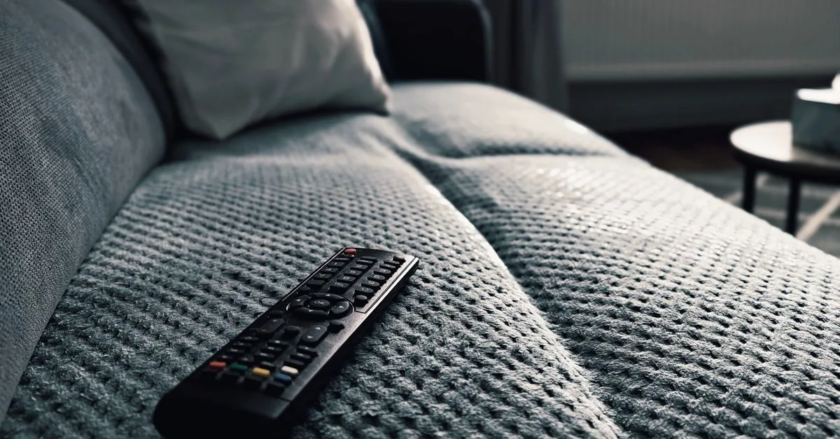 Netflix and Disney+ Challenge France's Revised SMAD Streaming Investment Rules