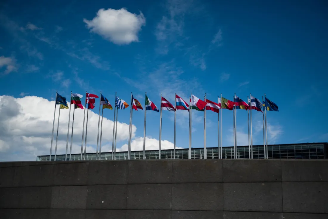 Row of national flags outside an EU institution, representing member states facing infringement action over the EU pay transparency directive