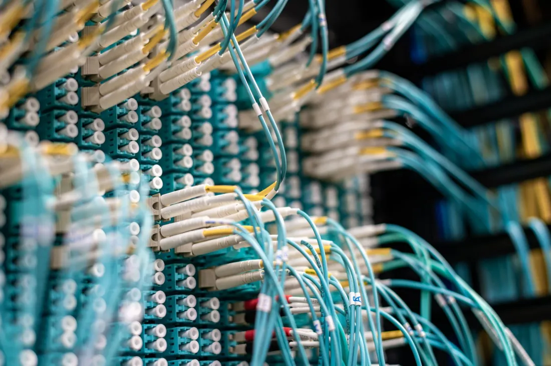 Fibre optic cables plugged into a patch panel in a data centre, representing the technical capability notice obligations on communications providers