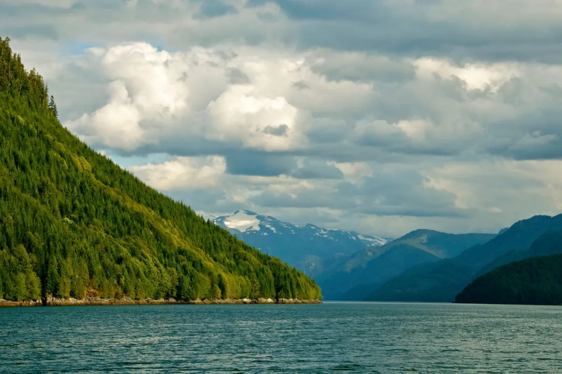 Forested mountainside and lake in northern British Columbia, the province now suing OpenAI over Tumbler Ridge