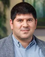 Hovhannes Atabekyan, Management Advisory Expert in Armenia, EV Consulting