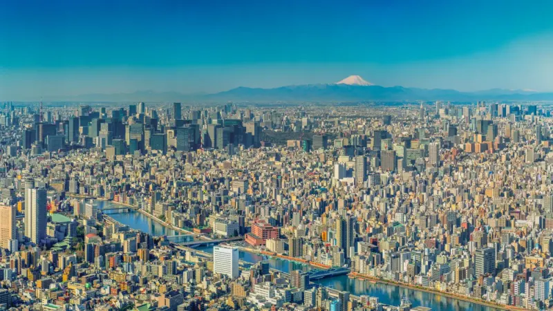 Panoramic view of Tokyo with Mount Fuji in the distance, Japan: lawyers and advisers in Japan