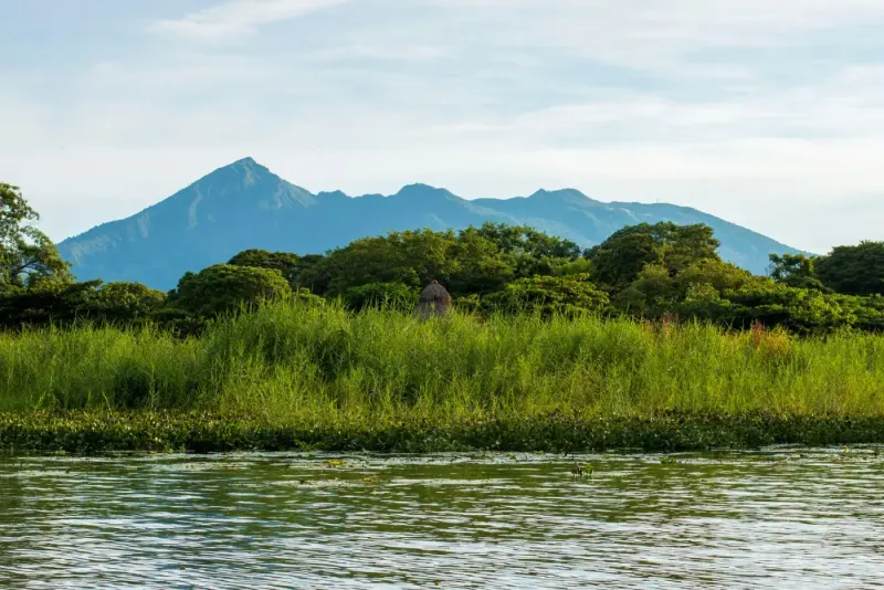 Mombacho Volcano rising above green wetlands near Granada, Nicaragua: lawyers and advisers in Nicaragua