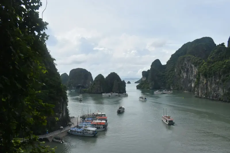 Limestone islands and boats in Ha Long Bay, Vietnam: lawyers and advisers in Vietnam