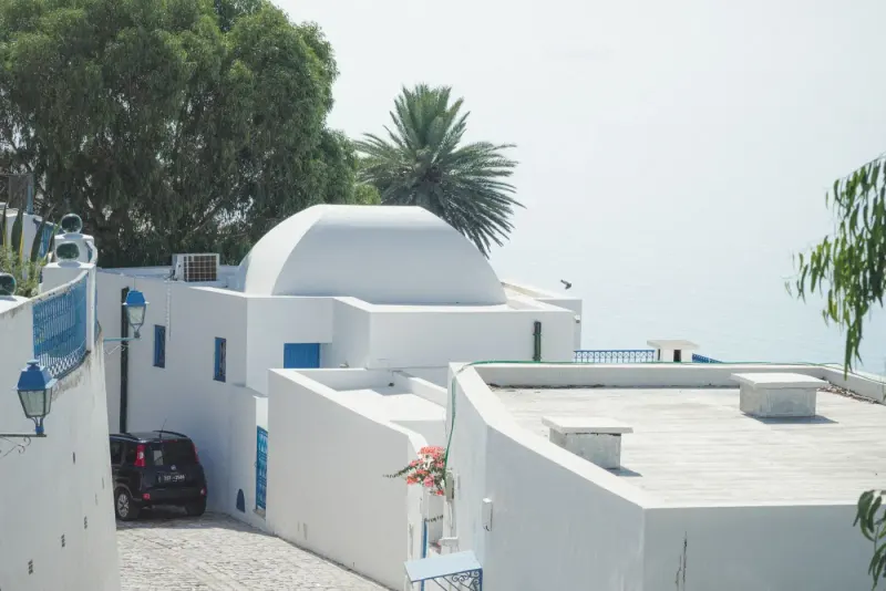 White houses of Sidi Bou Said overlooking the Mediterranean, Tunisia: lawyers and advisers in Tunisia