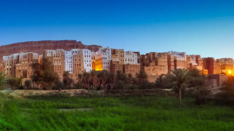 Mudbrick tower houses of Shibam at sunset, Yemen: lawyers and advisers in Yemen