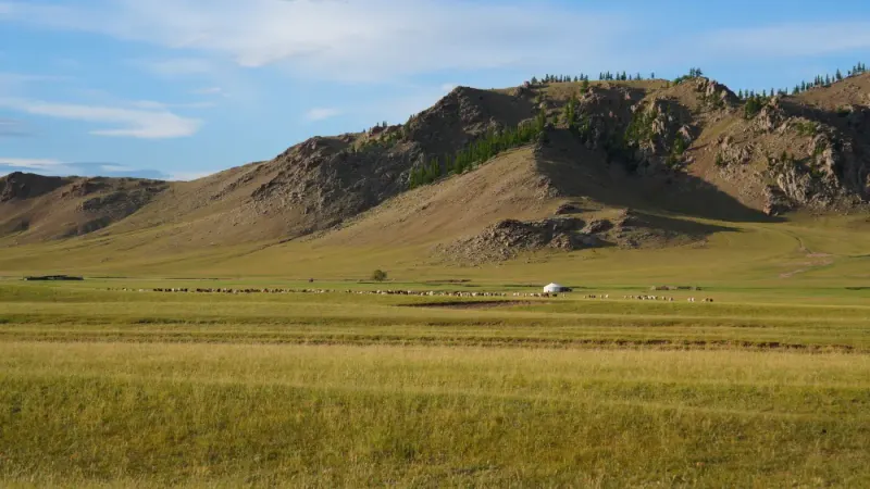 Steppe with a yurt and grazing sheep below mountains, North Tamir valley, Arkhangai Province, Mongolia: lawyers and advisers in Mongolia