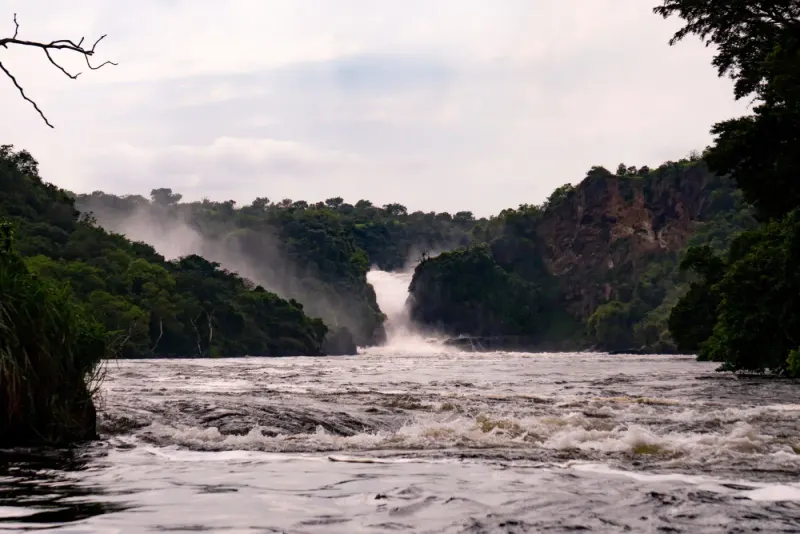 Murchison Falls and the Nile, Murchison Falls National Park, Uganda: lawyers and advisers in Uganda
