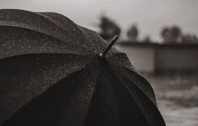 Black umbrella covered in raindrops: insurance news and analysis