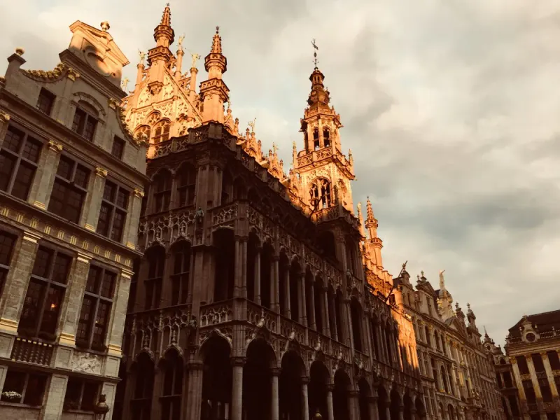 Ornate guildhalls on the Grand Place at golden hour, Brussels, Belgium: lawyers and advisers in Belgium