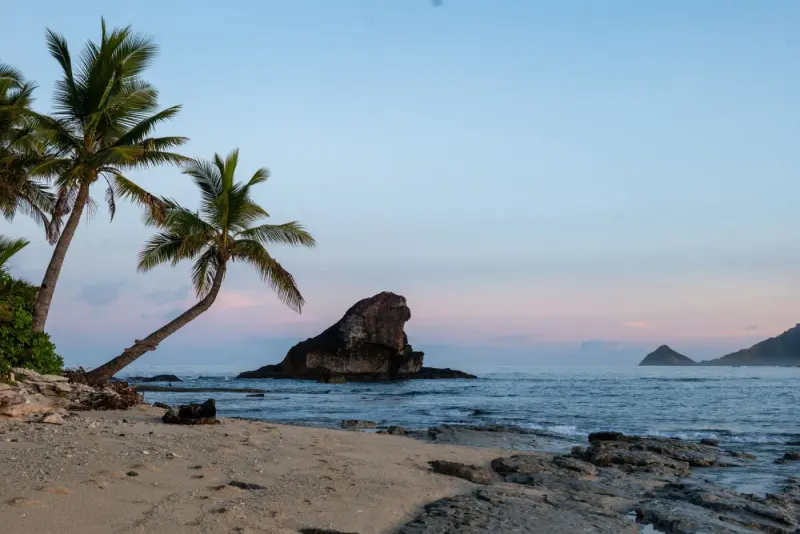 Palm trees on a beach at sunrise, Kuata Island, Fiji: lawyers and advisers in Fiji