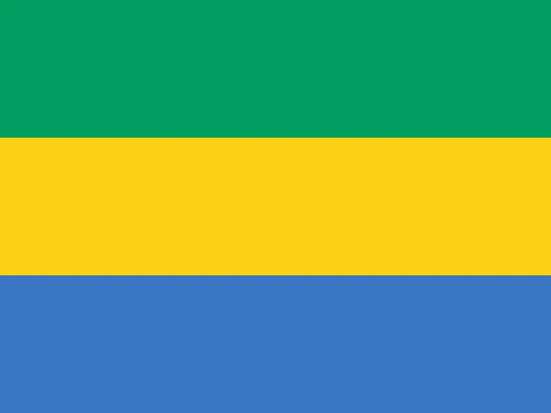 Flag of Gabon: lawyers and advisers in Gabon