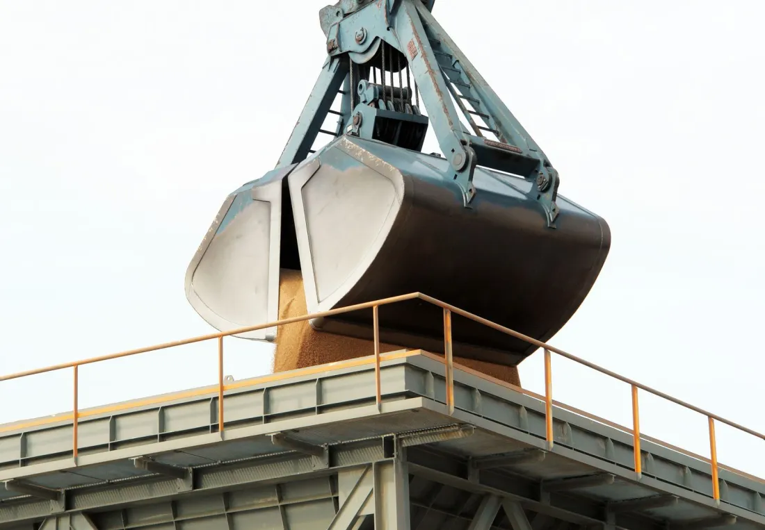 Clamshell grab discharging dry bulk cargo at a terminal, where cargo claims under a voyage charter party or time charter party arise