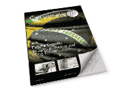November 2013 — Future Growth: Brazil's Economy and Long Term Outlook