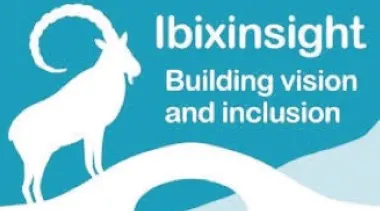 IbixInsight LLP