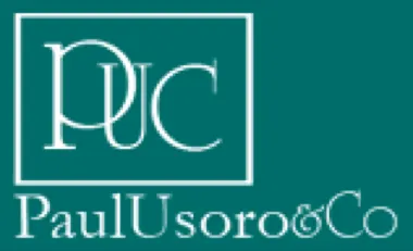 Paul Usoro & Co.
