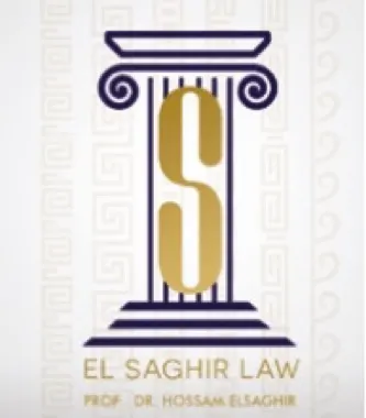 ElSaghir Law Firm