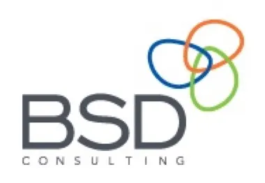 BSD Consulting
