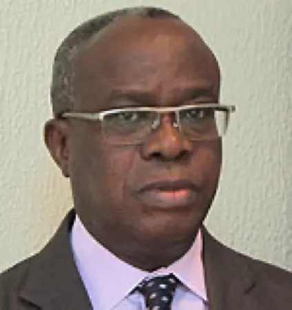 Mr. L Chidi Ilogu