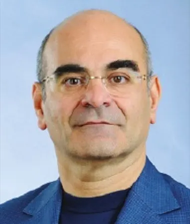 Abdel Ghani Hamdan