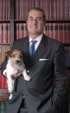 Alessandro P Giorgetti