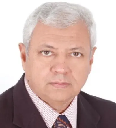 Prof. Dr Hossam ElSaghir