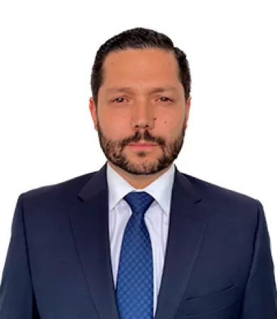 Fernando Pliego Vincent