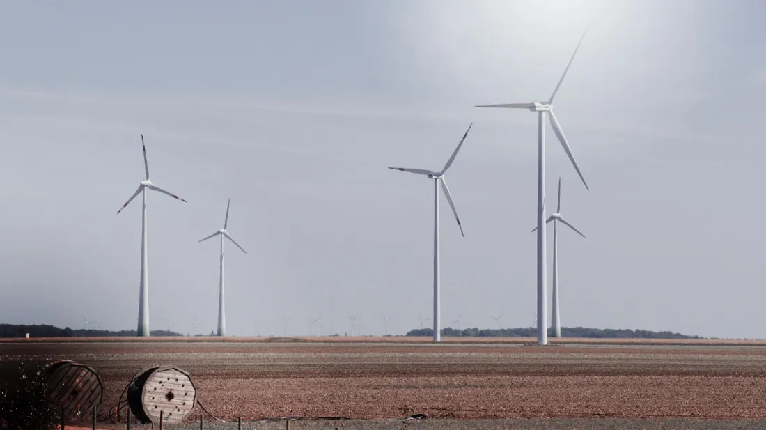 Corporate Boards Raise Concerning Knowledge Gaps When It Comes to Sustainability, New Global Research Finds