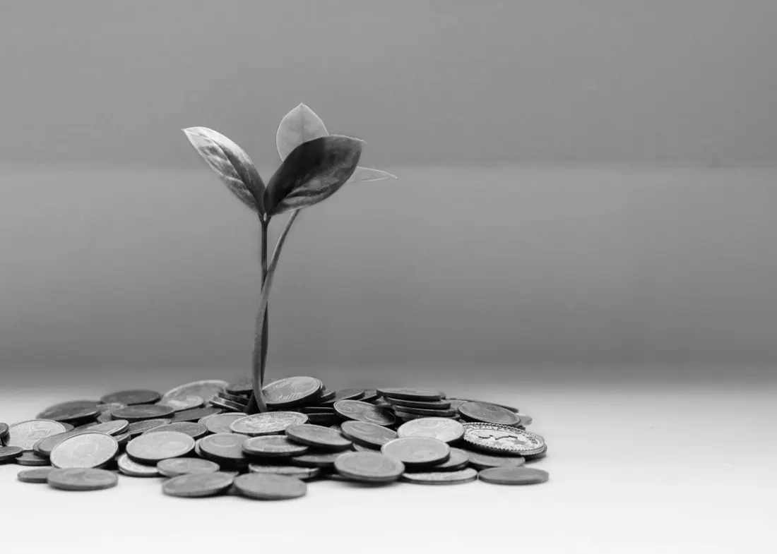 Facilitating and Extending the Win-win Loan in Flanders, Wallonia and Brussels