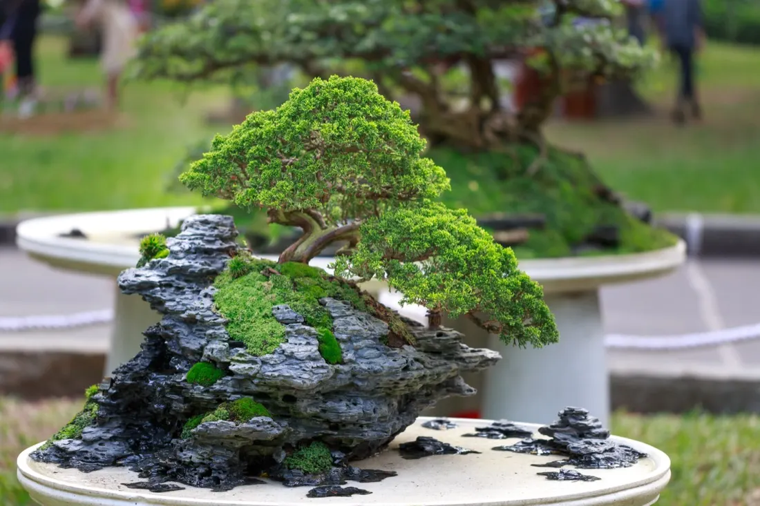 Using Culture and Heritage As a Resource to Conquer Foreign Markets - Lessons From the Japanese