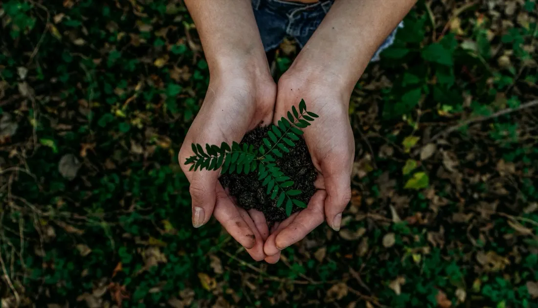 How to Ensure Your Sustainability Initiatives Do Not Backfire