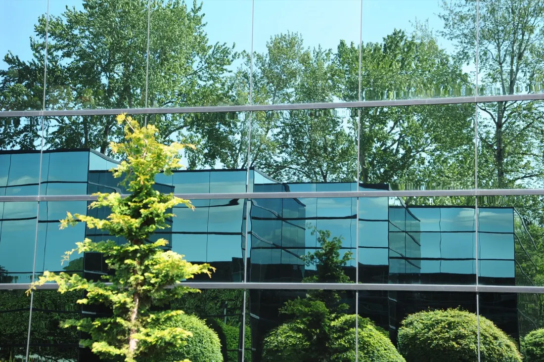 Staff Keen to Bring Green Spaces Into the Workplace