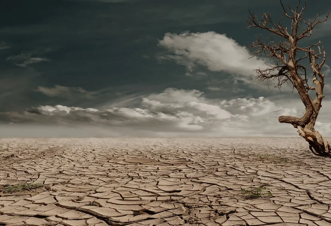 Future-focused CEOs More Likely to See Environmental Challenges As Opportunities