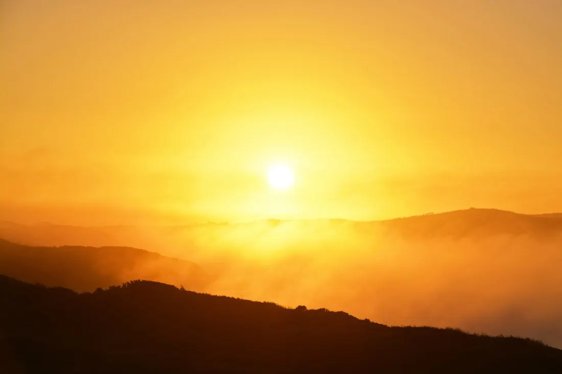 Heat Waves Cause Exports to Plummet Worldwide