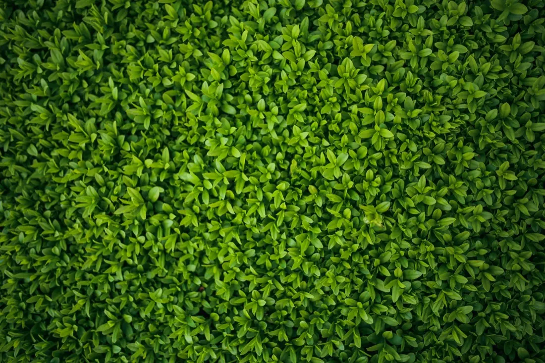 Why Companies With Good CSR Become Targets of Hedge Fund Activists