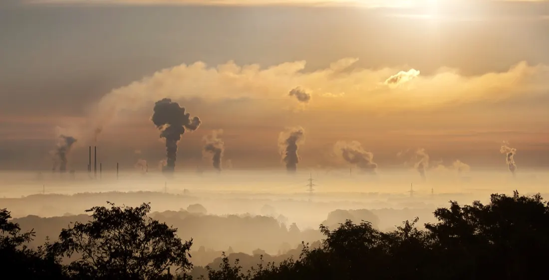 Carbon Taxes and Their Effects on Inequality