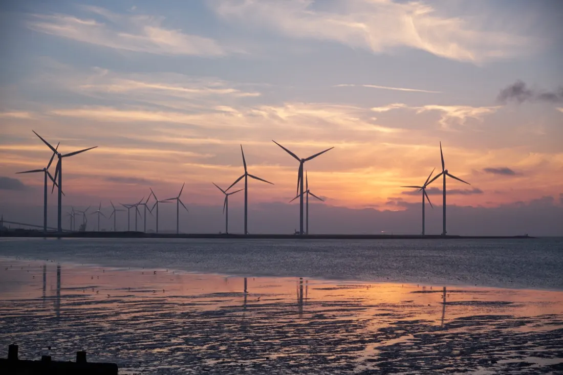 Innovation Is the Key to Becoming More Sustainable, Say Experts