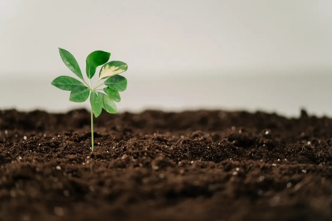 Seeing ESG's Societal Benefits Key to Investor Participation, Market Growth