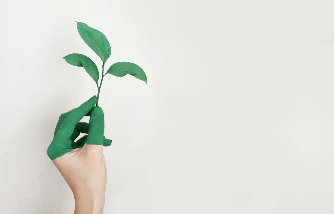 Islamic Finance and the SDGs: Framing the Opportunity