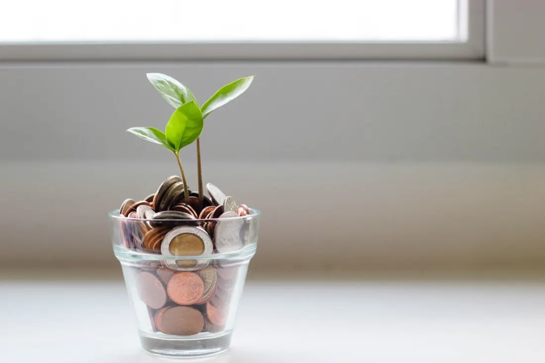 Private Equity Buyouts Currently Grow a Business