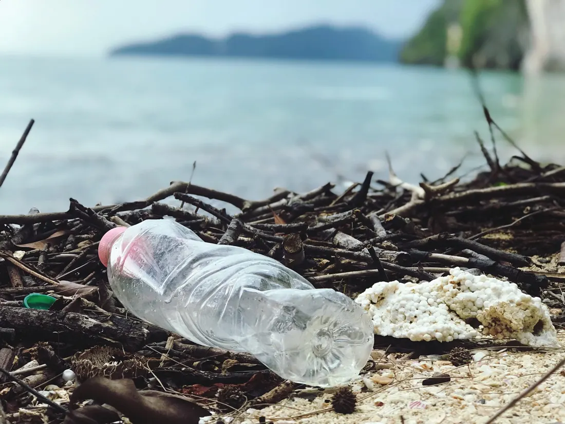 Why Some Societies Are More Likely to Buy Eco-friendly Products
