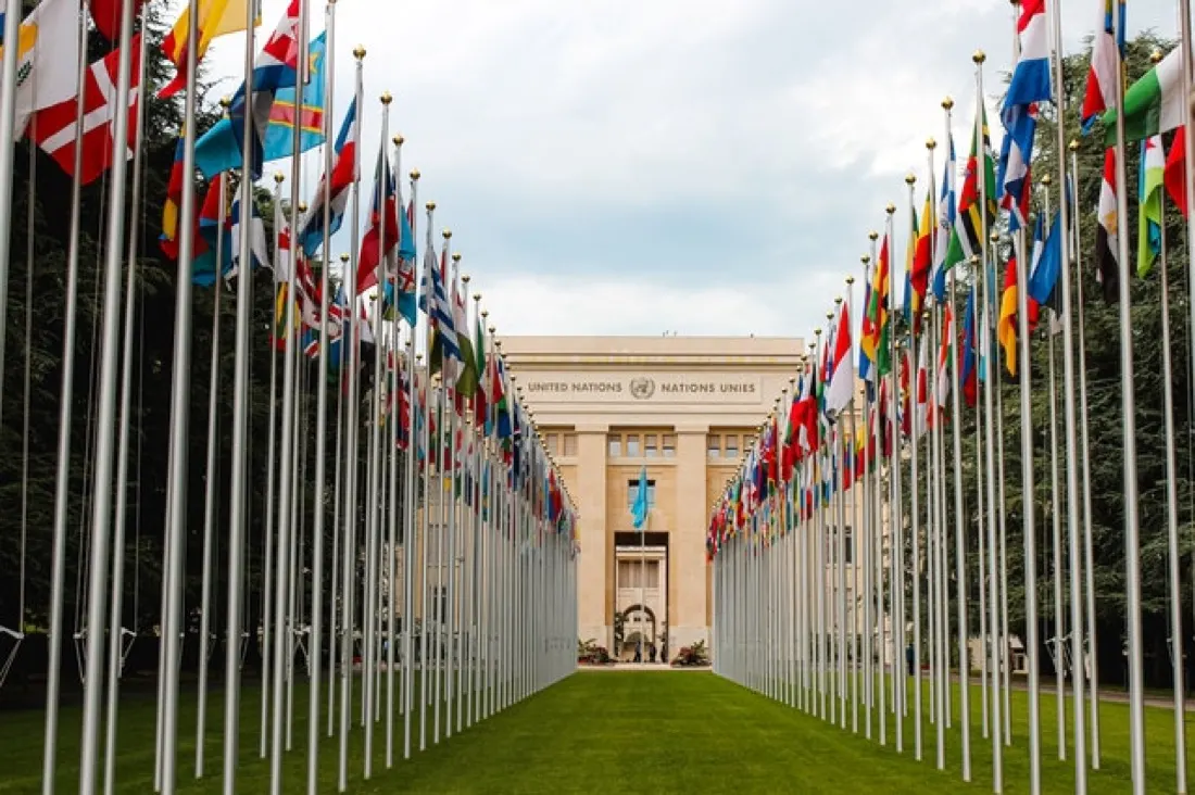 What Did the UN Spend on Goods and Services in 2020?