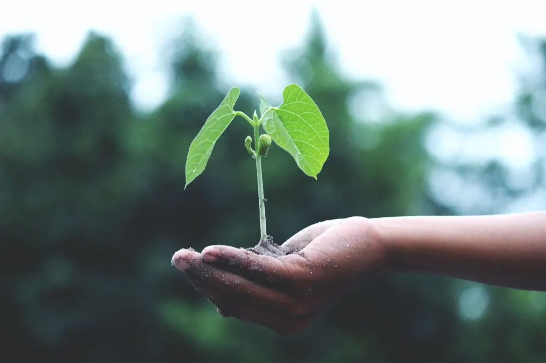 SMEs: The Key to Global Sustainability and Climate Change Ambitions