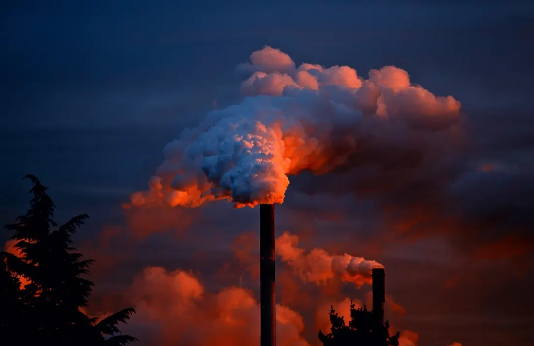 Energy Transition: Carbon Pricing More Effective Than Subsidizing Renewables