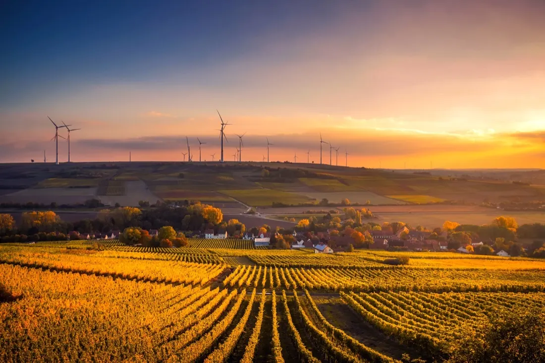 Five ESG Issues Executives Should Not Ignore