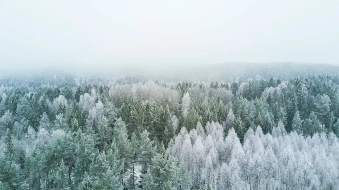 PE Firms Prepare for Long Winter Ahead As Deal Values Fall During 2022