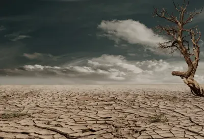 Cracked dry earth beneath a dead tree under a stormy sky, illustrating progress on sustainable development goals