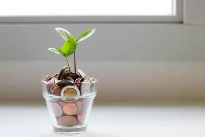 Coins in a glass tumbler with a plant sprouting from them on a windowsill, symbolising equity finance