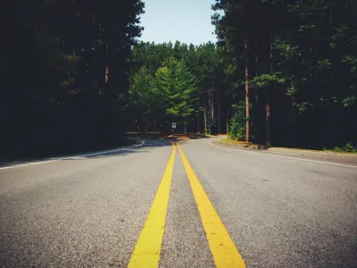 A forest road splitting into two directions, symbolising a fork in the road for the cyber insurance market