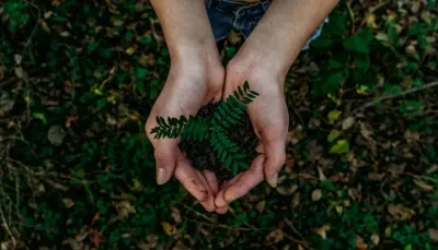 Cupped hands holding soil and a young seedling, symbolising genuine sustainability initiatives
